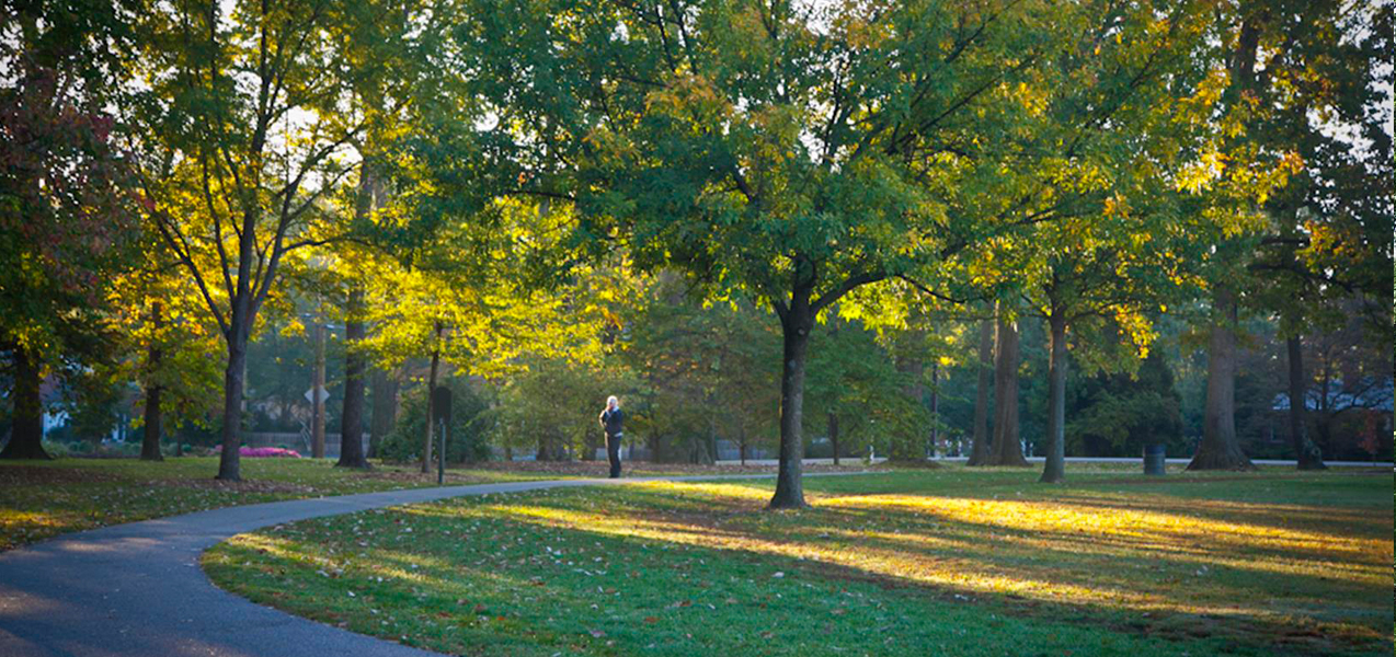 Restoring, Enhancing and Forever Protecting Louisville's Olmsted Parks ...