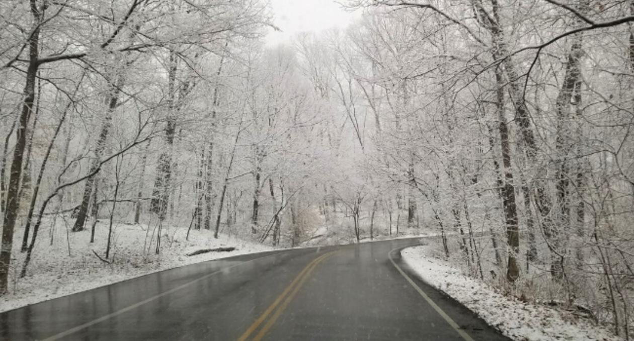 Olmsted Parks Conservancy - Connecting Nature & Neighborhood