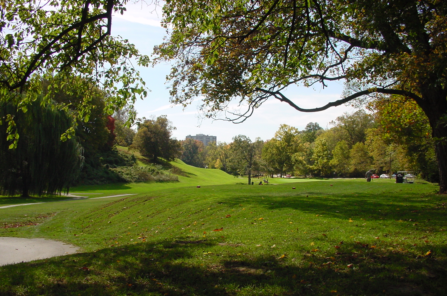 Cedar Hill  Central Park Conservancy