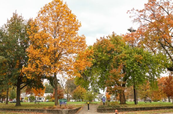 Home - Olmsted Parks Conservancy