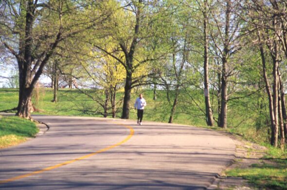 Chickasaw Park is only Olmsted Park designed for Black Louisvillians